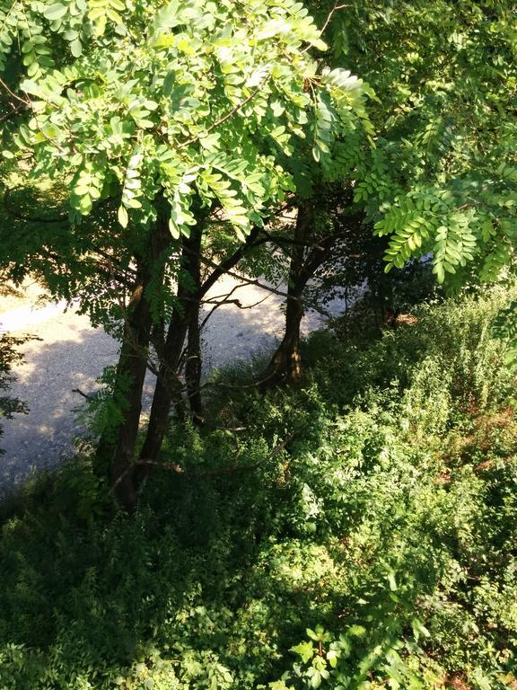 בלונו Casetta Next To The Creek Dino Buzzati חדר תמונה